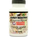 Joint Matrix 