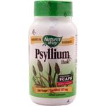 Psyllium Husks 